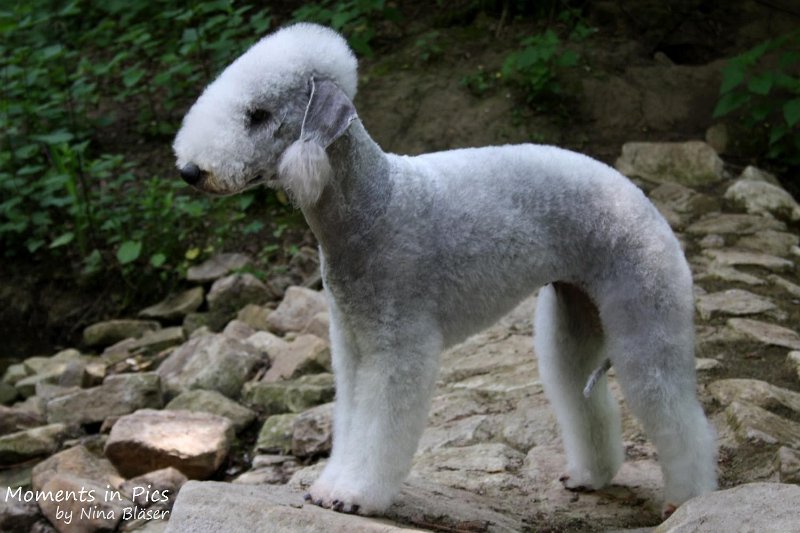 2010-05-29 Arc-en-ciel Alanna (6).jpg - Arc-en-ciel Alanna 2010-05-29